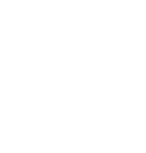361mag